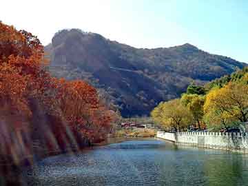 管家婆免费正版资起大全，彼岸花开为君倾